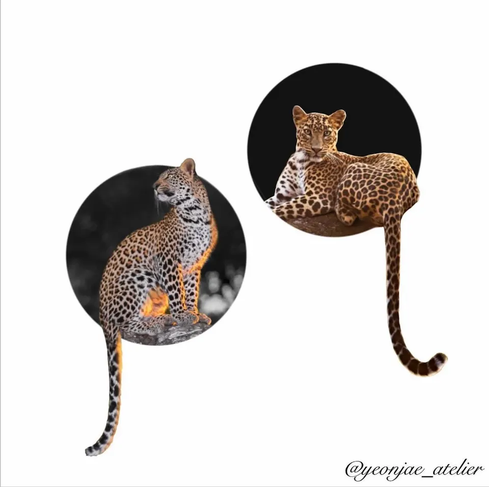 연재타투가 공개한 타투 작업 사진 — 치타(Cheetah) 디자인