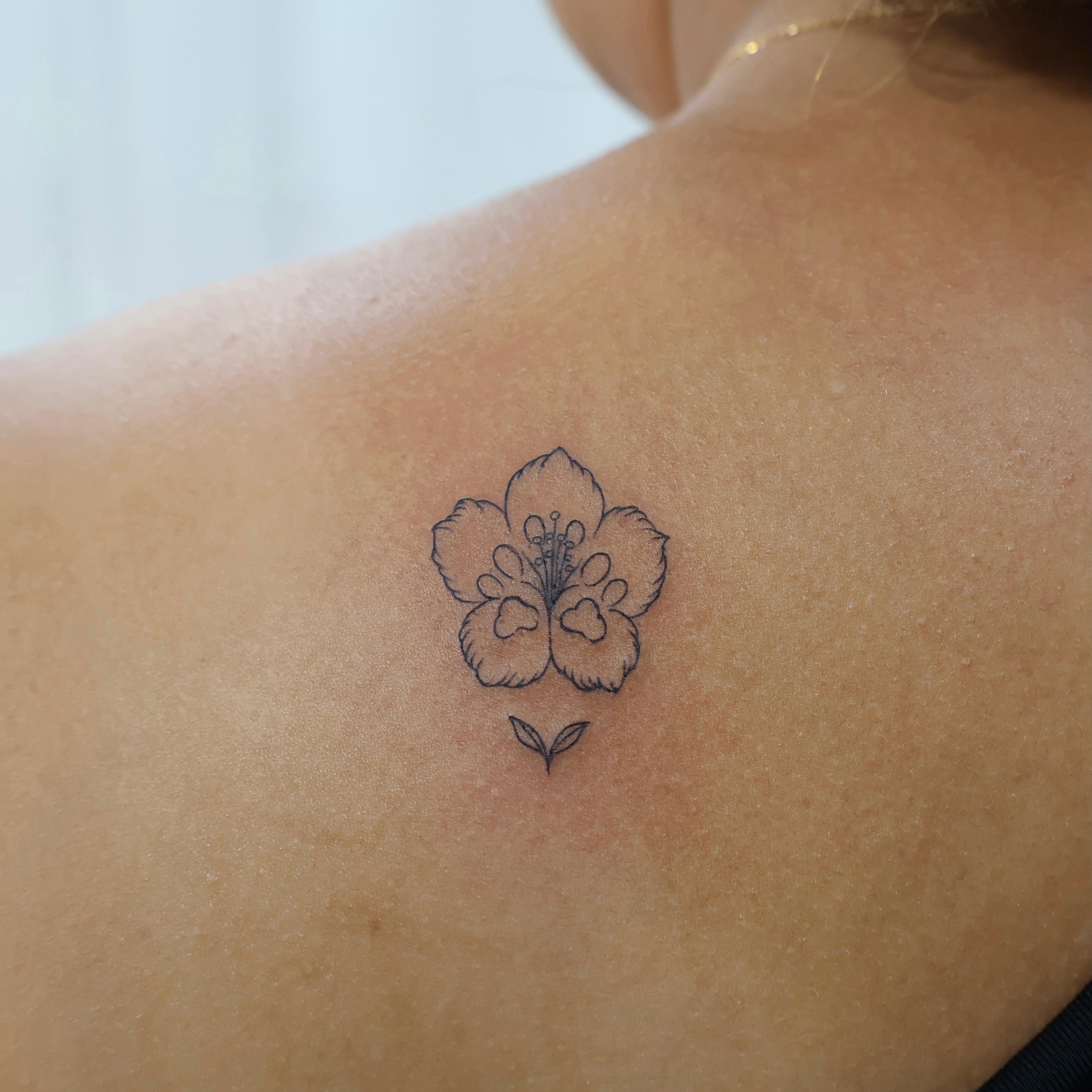 A delicate Mugunghwa tattoo — Yeonjae Tattoo